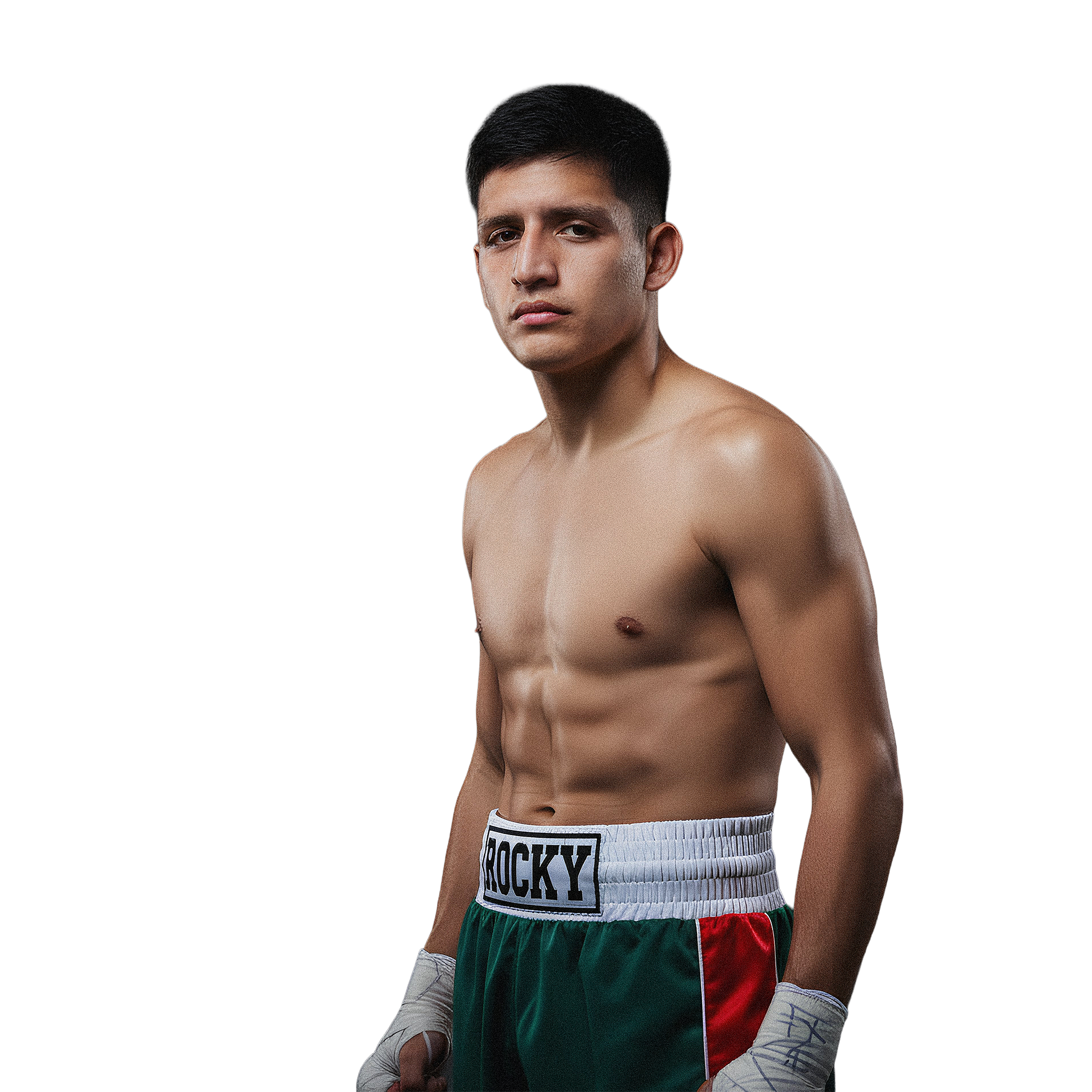 Spb website boxer bearbeitet dominguez freigestellt