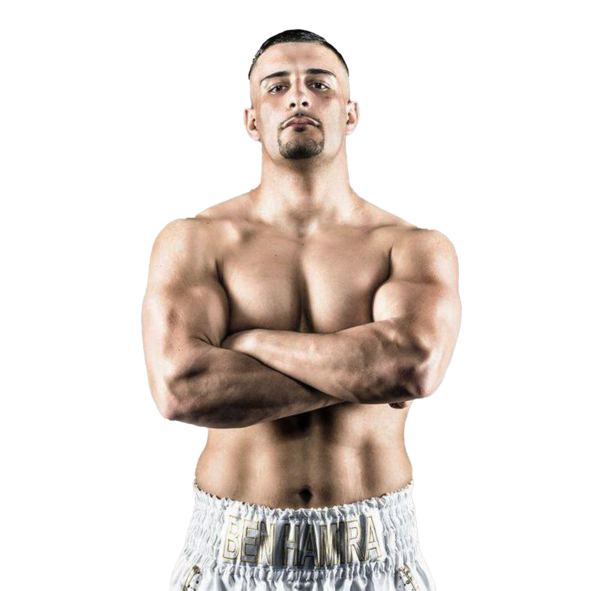 Spb website boxer behamira freigestellt