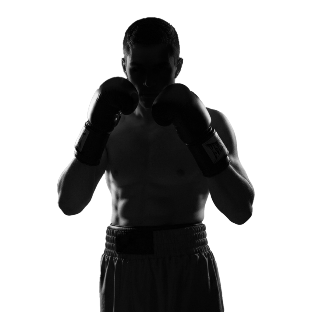 Spb website boxer bearbeitet TBA freigestellt