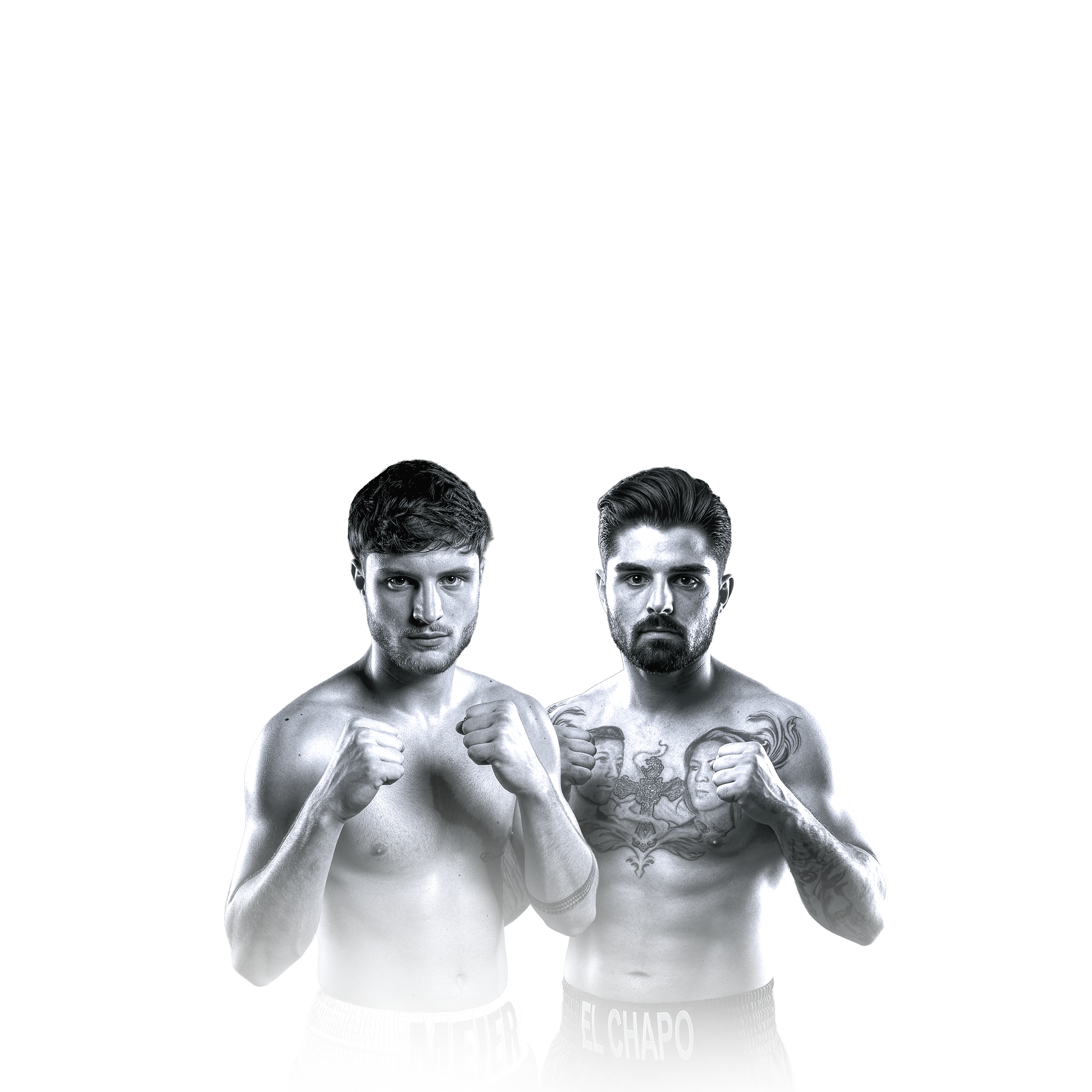 SPB Website Paralax Boxer