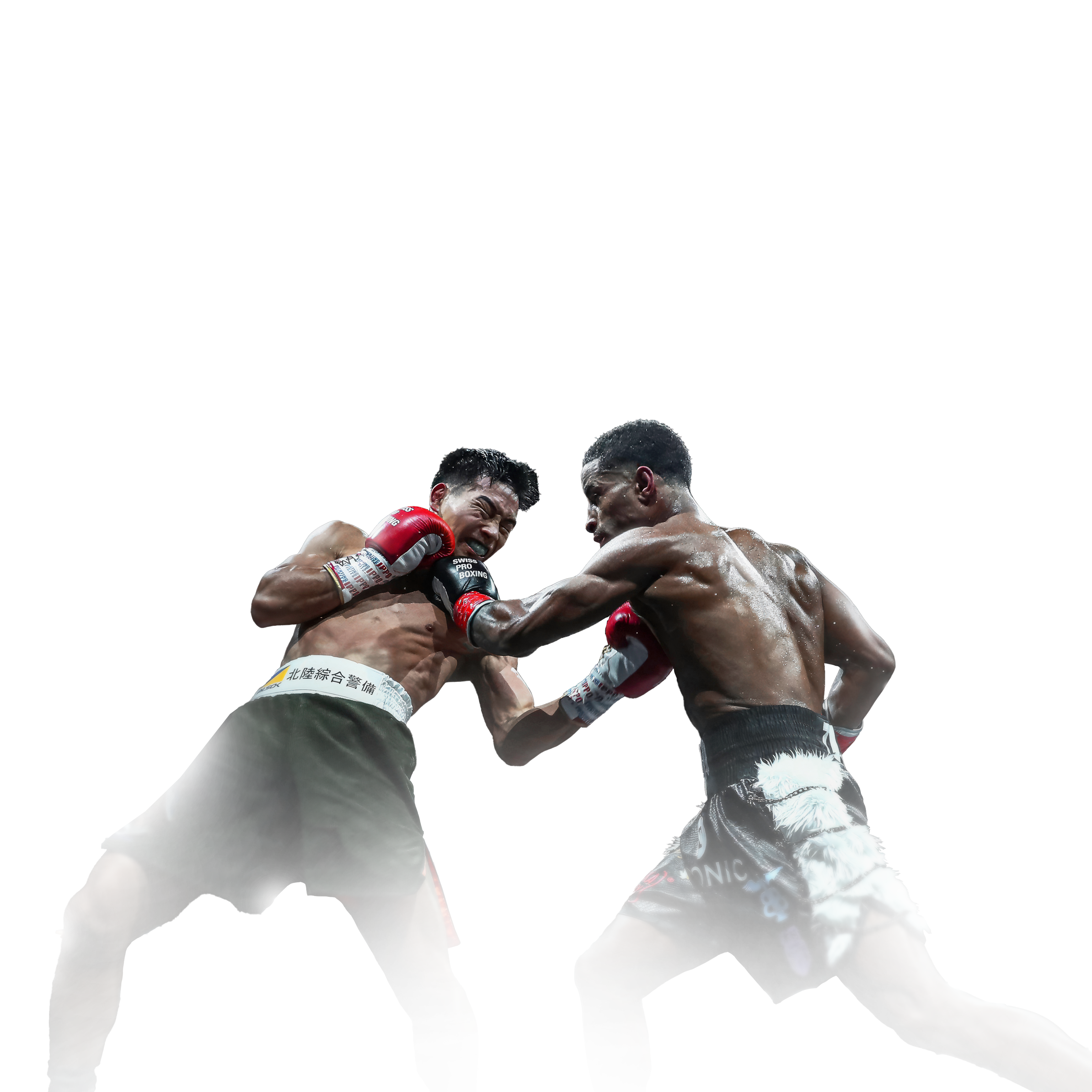 SPB BXD25 Artwork Website Boxer