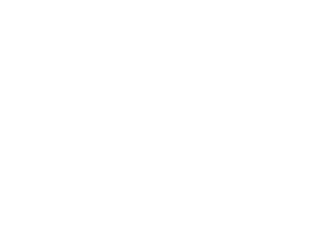 Spb web partner visana